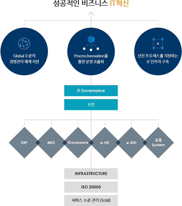 성공적인 비즈니스 IT혁신