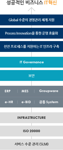 성공적인 비즈니스 IT혁신